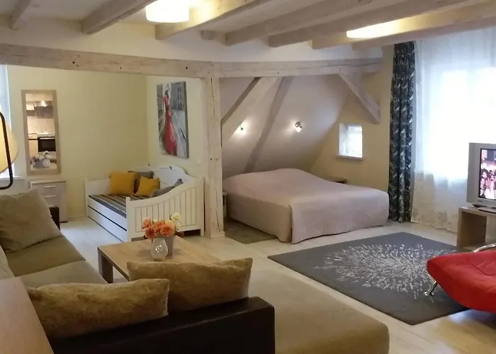 Studio Apartment